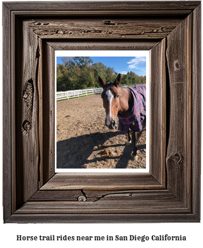 horse trail rides near me in San Diego, California